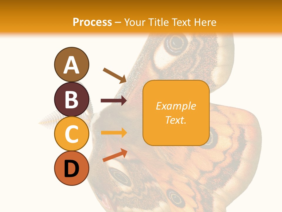 A Large Butterfly With Two Eyes On It's Wings PowerPoint Template