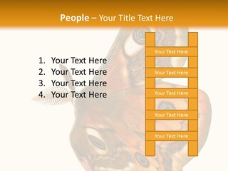 A Large Butterfly With Two Eyes On It's Wings PowerPoint Template