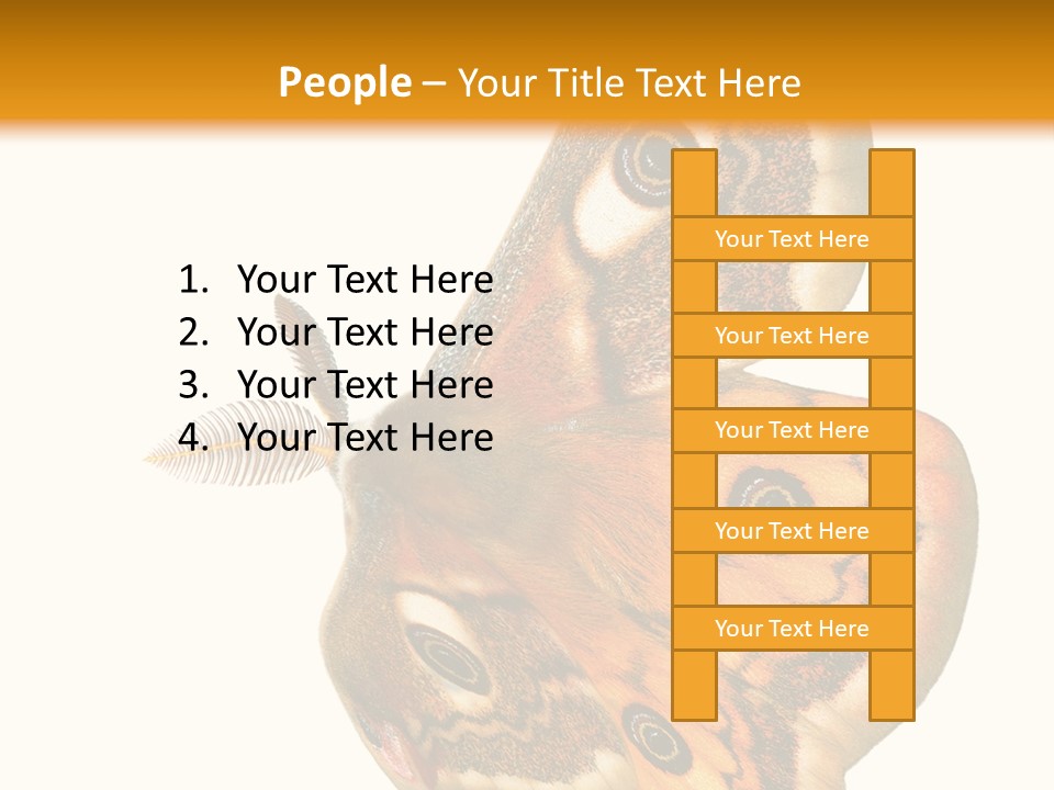 A Large Butterfly With Two Eyes On It's Wings PowerPoint Template