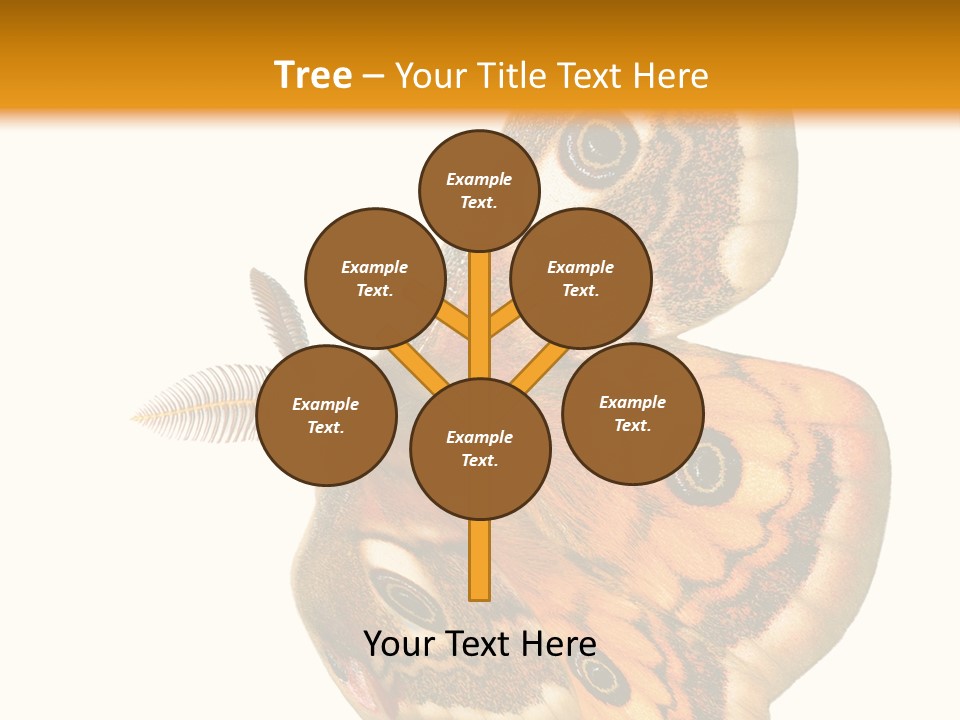 A Large Butterfly With Two Eyes On It's Wings PowerPoint Template