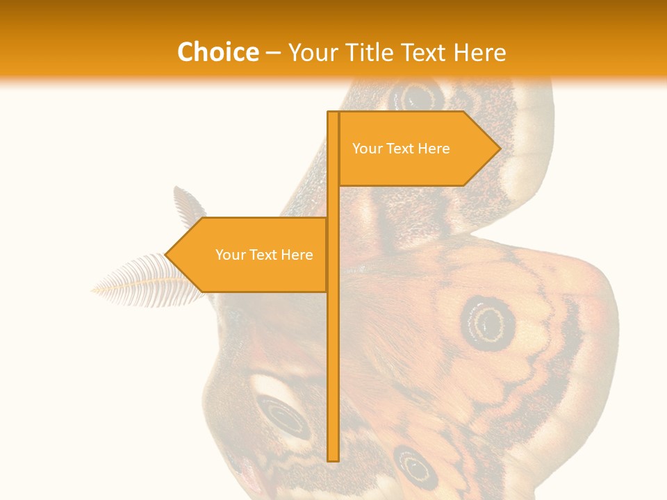 A Large Butterfly With Two Eyes On It's Wings PowerPoint Template