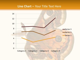 A Large Butterfly With Two Eyes On It's Wings PowerPoint Template