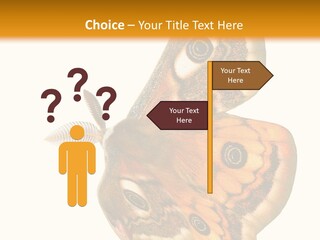 A Large Butterfly With Two Eyes On It's Wings PowerPoint Template