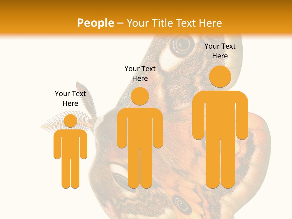 A Large Butterfly With Two Eyes On It's Wings PowerPoint Template