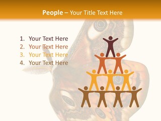 A Large Butterfly With Two Eyes On It's Wings PowerPoint Template