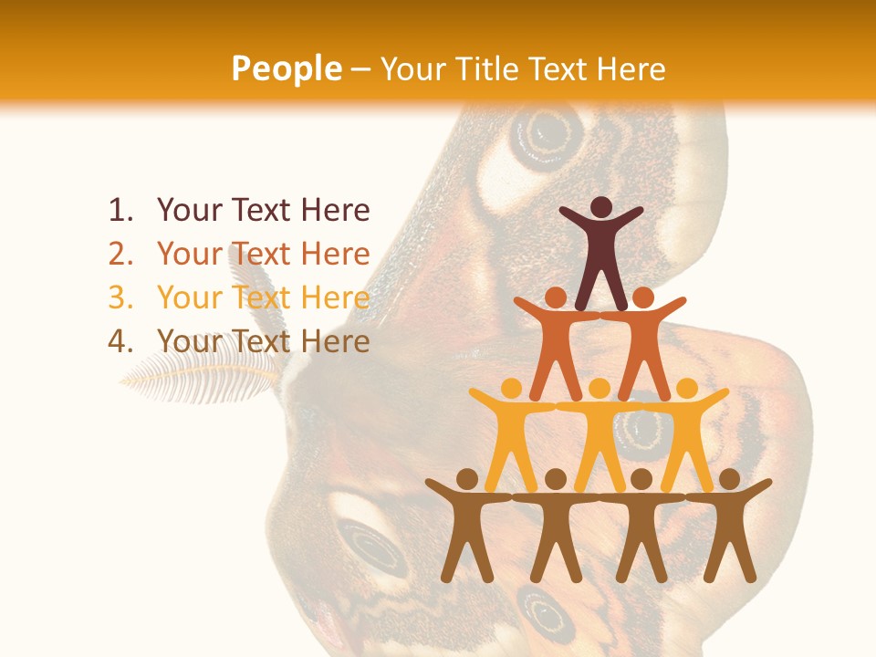 A Large Butterfly With Two Eyes On It's Wings PowerPoint Template
