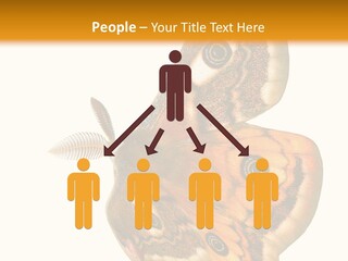 A Large Butterfly With Two Eyes On It's Wings PowerPoint Template
