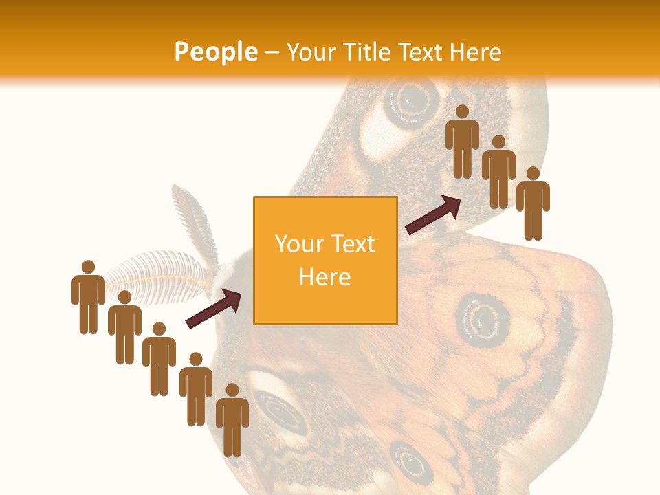 A Large Butterfly With Two Eyes On It's Wings PowerPoint Template
