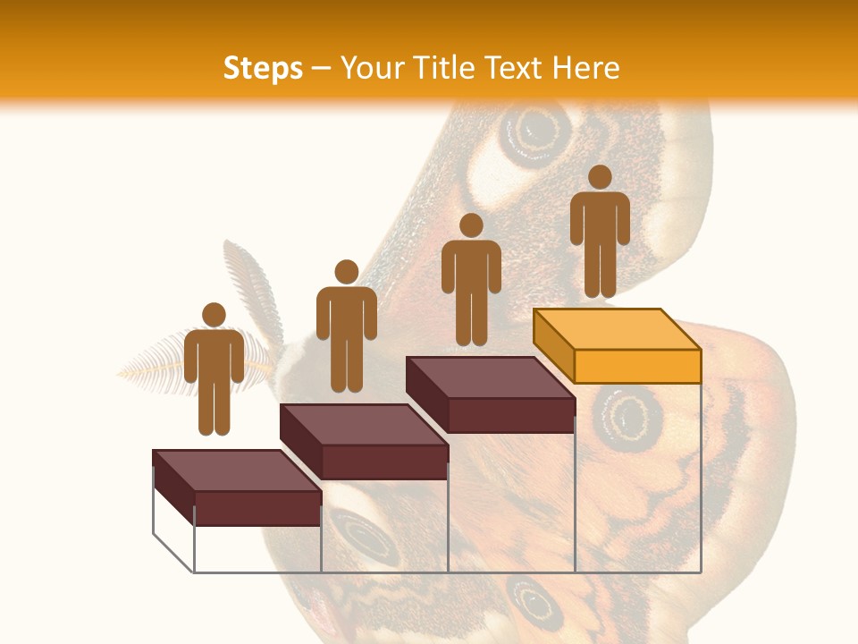 A Large Butterfly With Two Eyes On It's Wings PowerPoint Template