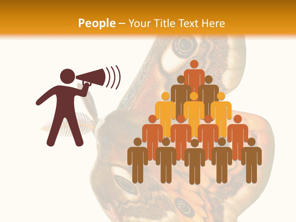 A Large Butterfly With Two Eyes On It's Wings PowerPoint Template