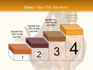 A Large Butterfly With Two Eyes On It's Wings PowerPoint Template