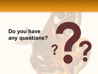 A Large Butterfly With Two Eyes On It's Wings PowerPoint Template