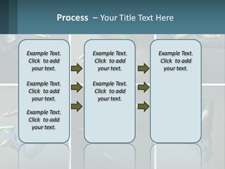 A Collage Of Photos Of A Young Man Jumping In The Air PowerPoint Template