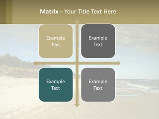 A Sandy Beach With Trees And Water Under A Cloudy Sky PowerPoint Template