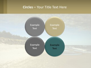 A Sandy Beach With Trees And Water Under A Cloudy Sky PowerPoint Template