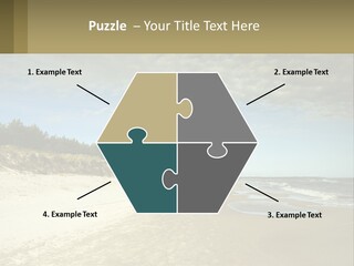 A Sandy Beach With Trees And Water Under A Cloudy Sky PowerPoint Template