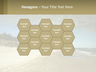 A Sandy Beach With Trees And Water Under A Cloudy Sky PowerPoint Template