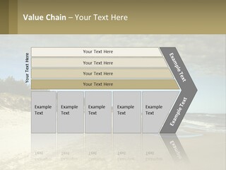 A Sandy Beach With Trees And Water Under A Cloudy Sky PowerPoint Template