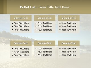 A Sandy Beach With Trees And Water Under A Cloudy Sky PowerPoint Template