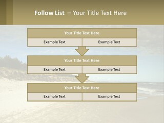 A Sandy Beach With Trees And Water Under A Cloudy Sky PowerPoint Template