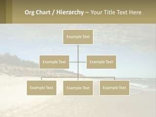 A Sandy Beach With Trees And Water Under A Cloudy Sky PowerPoint Template