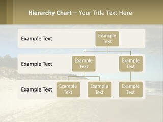 A Sandy Beach With Trees And Water Under A Cloudy Sky PowerPoint Template