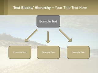 A Sandy Beach With Trees And Water Under A Cloudy Sky PowerPoint Template