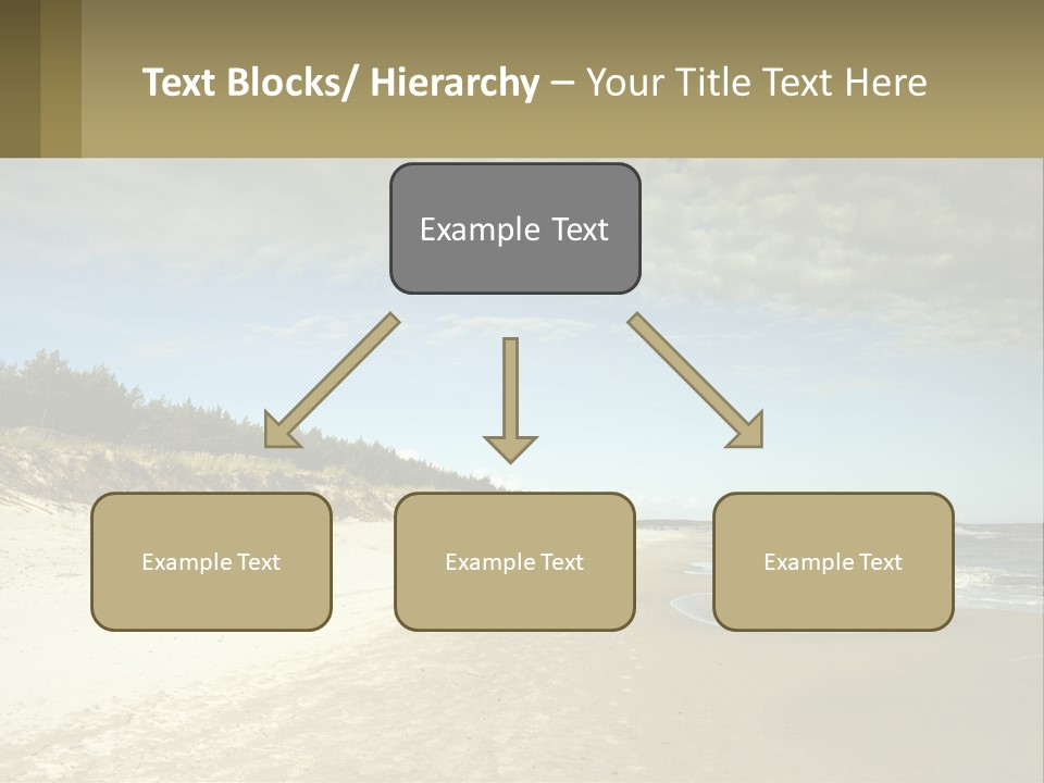 A Sandy Beach With Trees And Water Under A Cloudy Sky PowerPoint Template