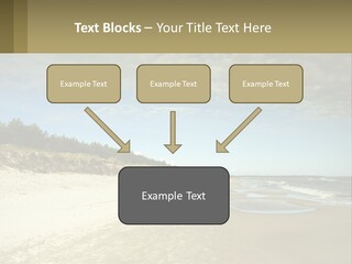 A Sandy Beach With Trees And Water Under A Cloudy Sky PowerPoint Template