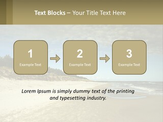 A Sandy Beach With Trees And Water Under A Cloudy Sky PowerPoint Template