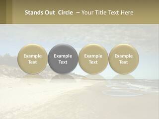 A Sandy Beach With Trees And Water Under A Cloudy Sky PowerPoint Template