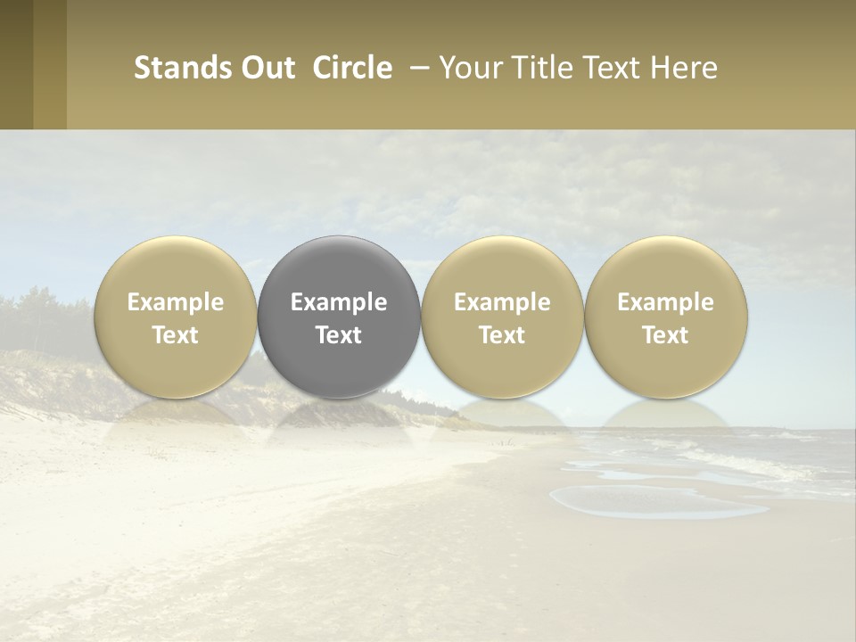 A Sandy Beach With Trees And Water Under A Cloudy Sky PowerPoint Template