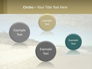 A Sandy Beach With Trees And Water Under A Cloudy Sky PowerPoint Template