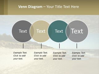 A Sandy Beach With Trees And Water Under A Cloudy Sky PowerPoint Template