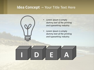 A Sandy Beach With Trees And Water Under A Cloudy Sky PowerPoint Template