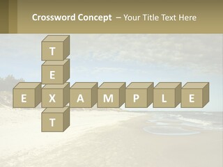 A Sandy Beach With Trees And Water Under A Cloudy Sky PowerPoint Template