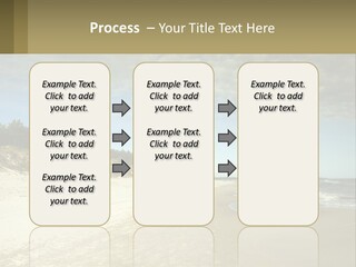 A Sandy Beach With Trees And Water Under A Cloudy Sky PowerPoint Template