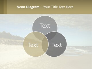 A Sandy Beach With Trees And Water Under A Cloudy Sky PowerPoint Template