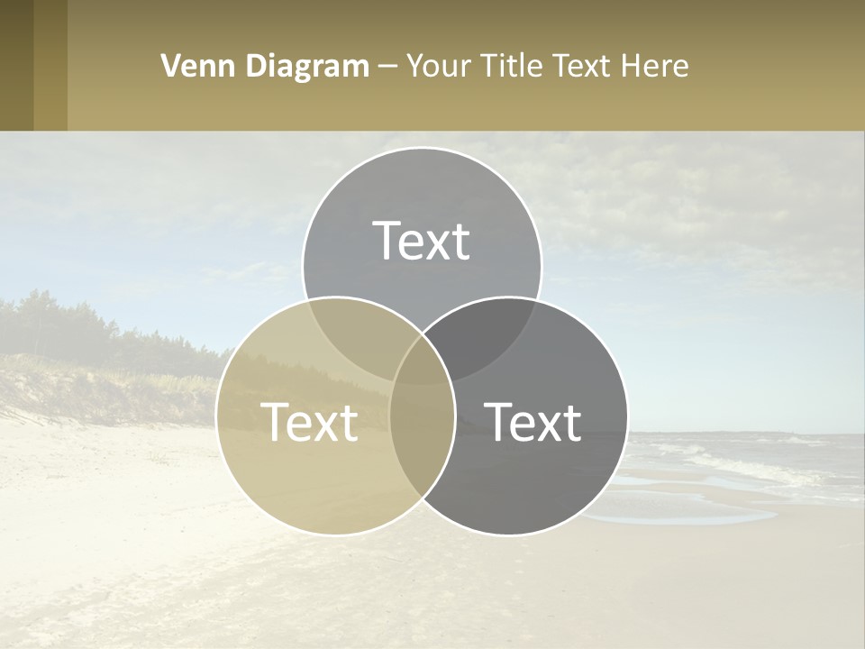 A Sandy Beach With Trees And Water Under A Cloudy Sky PowerPoint Template