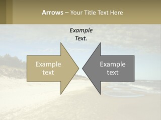 A Sandy Beach With Trees And Water Under A Cloudy Sky PowerPoint Template