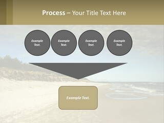 A Sandy Beach With Trees And Water Under A Cloudy Sky PowerPoint Template
