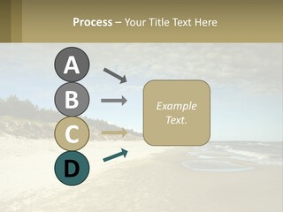 A Sandy Beach With Trees And Water Under A Cloudy Sky PowerPoint Template