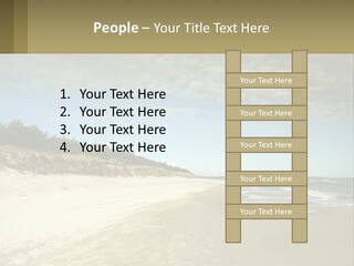 A Sandy Beach With Trees And Water Under A Cloudy Sky PowerPoint Template