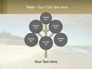 A Sandy Beach With Trees And Water Under A Cloudy Sky PowerPoint Template