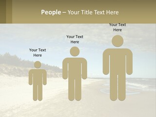 A Sandy Beach With Trees And Water Under A Cloudy Sky PowerPoint Template