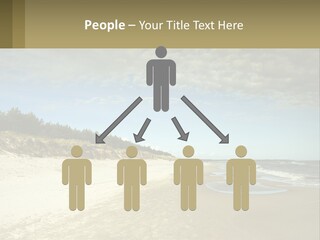 A Sandy Beach With Trees And Water Under A Cloudy Sky PowerPoint Template