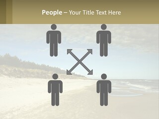 A Sandy Beach With Trees And Water Under A Cloudy Sky PowerPoint Template