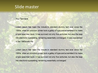 A Tree With The Sun Shining Through It PowerPoint Template