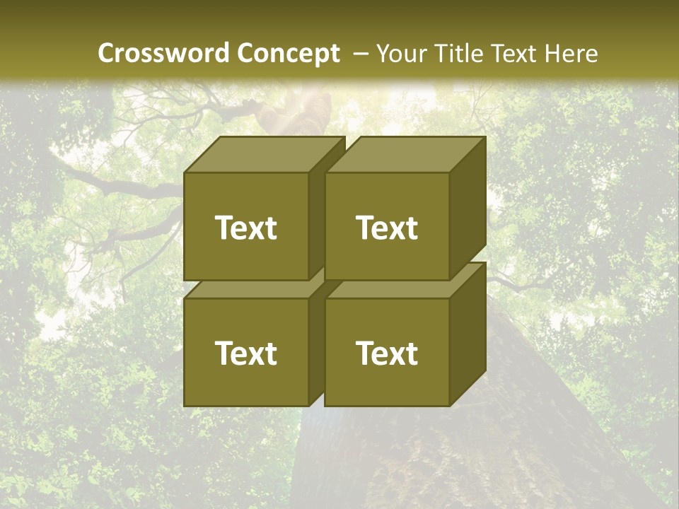 A Tree With The Sun Shining Through It PowerPoint Template