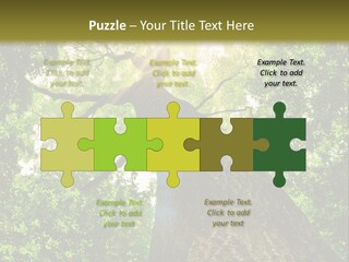 A Tree With The Sun Shining Through It PowerPoint Template